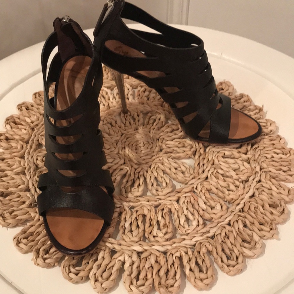 Giuseppe Zanotti